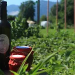 Apartamento Garden Jansa *