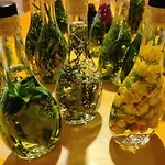 Garden Jansa * Radovljica