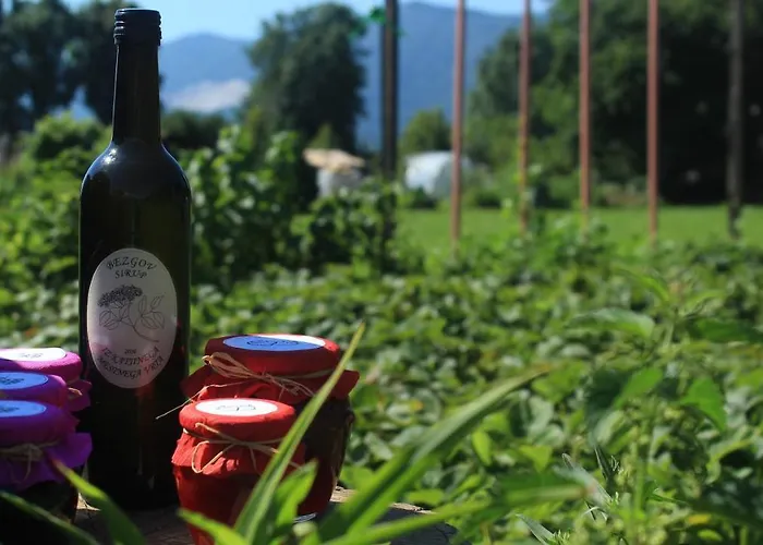 公寓 Garden Jansa *