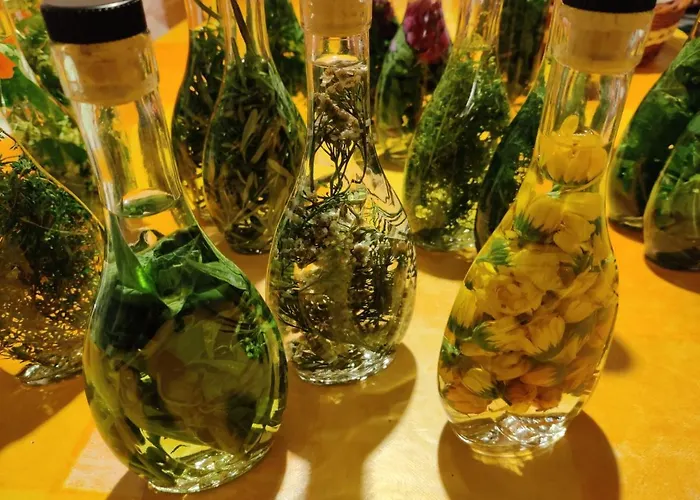 Garden Jansa * 拉多夫吉卡