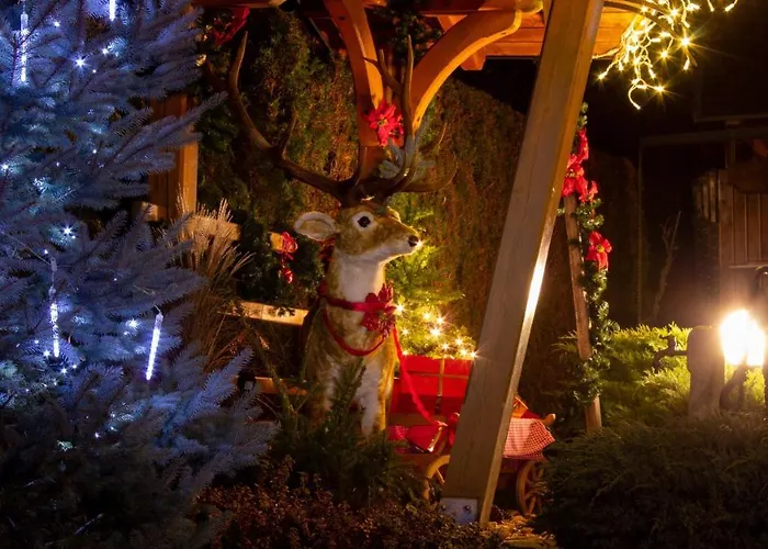 Garden Jansa 拉多夫吉卡