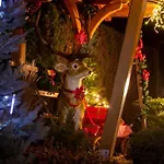 Garden Janša Radovljica