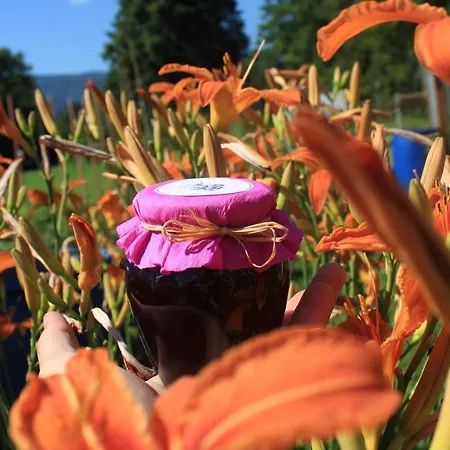 Appartement Garden Janša