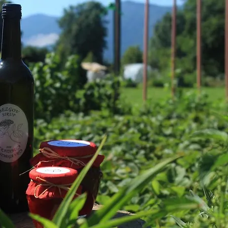 Lejlighed Garden Jansa *