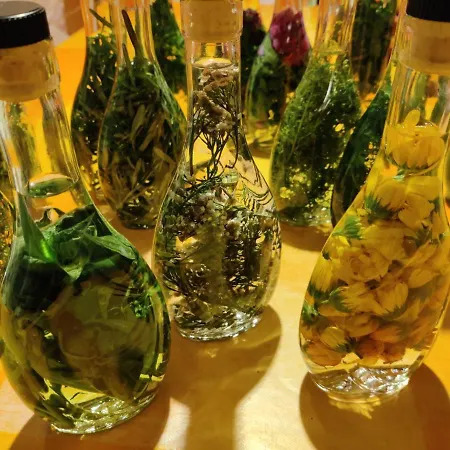 Garden Jansa * Radovljica