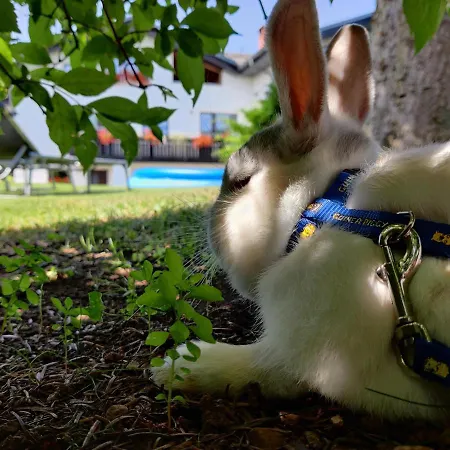 アパート Garden Jansa