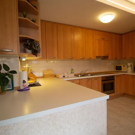 Apartmán Garden Jansa Radovljica