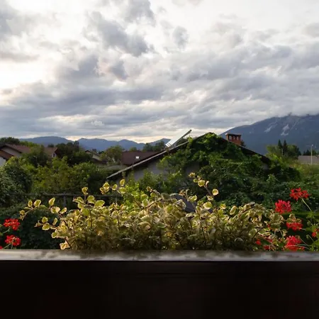 Apartment Garden Jansa