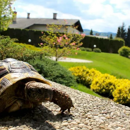 Garden Janša Appartement