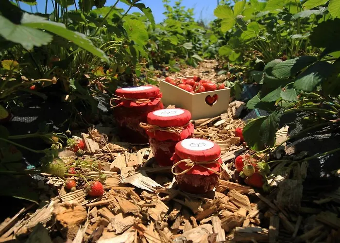 Garden Janša * Radovljica