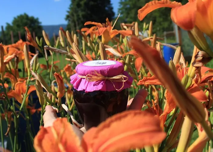 דירה Garden Jansa