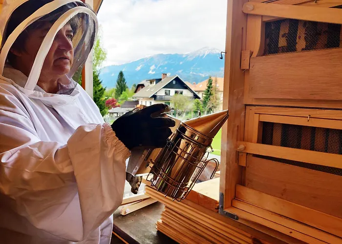 דירה Garden Jansa *