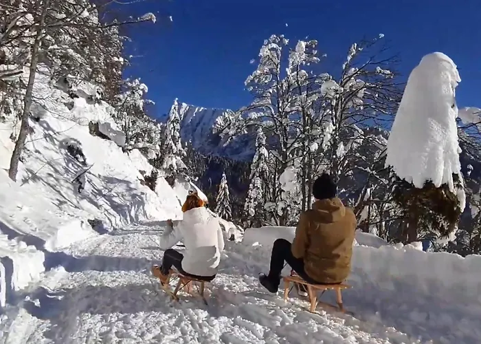 Garden Jansa דירה *