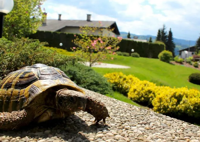 Garden Janša Appartement